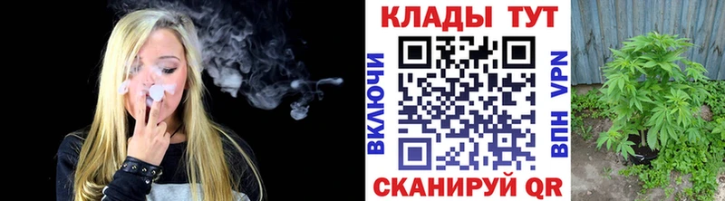 Псилоцибиновые грибы Сунжа