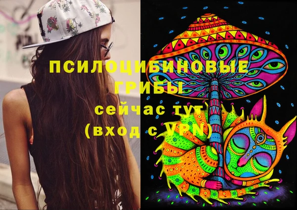 2c-b Алзамай