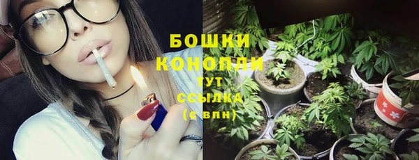 ГАЛЛЮЦИНОГЕННЫЕ ГРИБЫ Нефтекумск