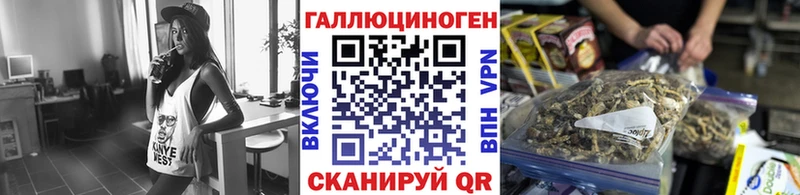 Псилоцибиновые грибы Psilocybine cubensis Сунжа